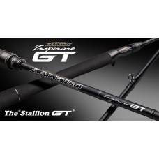 KALEIDO INSPIRARE GT| IGTC-69MH STALLION GT